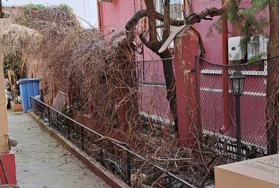 Casă individuală cu 5 camere cu Canalizare în Calea Călărașilor - 5