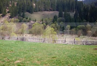 Teren de 1299 mp, în Central