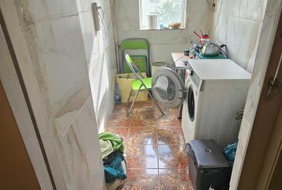 Lacul Tei, Maica Domnului aproape Parcul Circului - 8