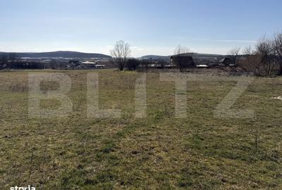 Teren de 5800 mp, în Hereclean - 5