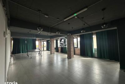 Spațiu comercial, de 195 mp, în Valea Lupului - 18