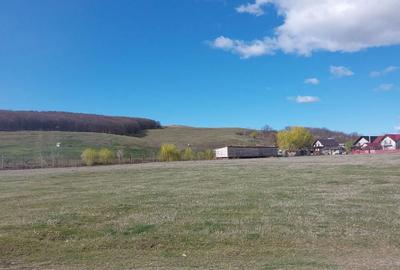 Teren de 2600 mp, în Reuseni - 2
