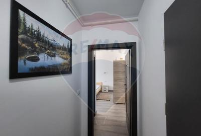 Apartament cu 3 camere decomandat, mobilat în Micălaca - 12