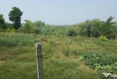 Teren de 1629 mp, în Câșlița
