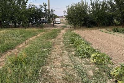 Spațiu comercial, în Cihei - 3