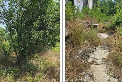 Casă cu 1 camere cu Teren 1200 Mp în Cucuruzu - 12