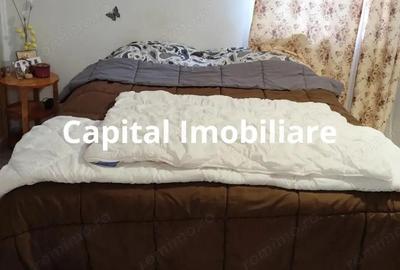 Casa Baicoi 95 mp Sc, 2578 mp teren - 13