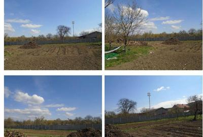 Teren intravilan Loc. Spini, comuna Turdas, jud. Hunedoara - 8