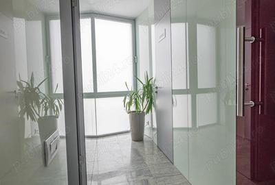 Birouri premium de inchiriat in Herastrau Office Building, mobilat integral la standarde de lux - 4