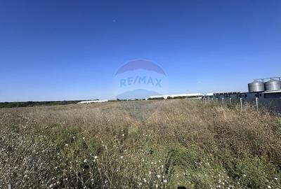 Vanzare Teren Industrial - Stefanestii de Jos (22.800 mp) - 5