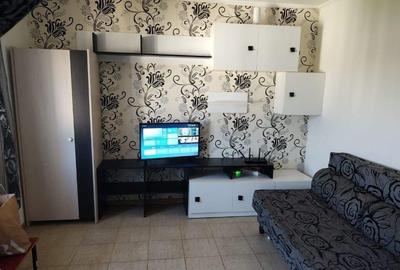 Garsoniera mansarda Poarta 6 - 2