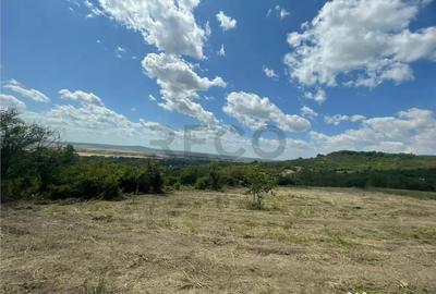 Teren de 1675 mp, în Podgoria - 9