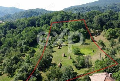 Teren Construcții intravilan de 6348 mp, în Corbeni - 3