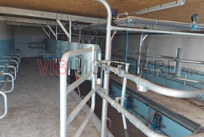 Ferma zootehnică funcțională, populată cu peste 200 capete bovine, aproape d - 5