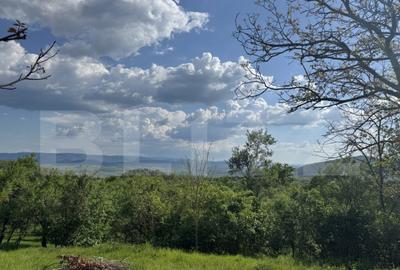 Teren intravilan de vanzare, 15080 mp, zona Tatara?ti - 3