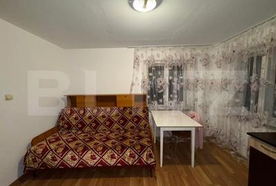Casa cu 4 camere In Criscior - 13