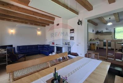 Casa de vacanta in Magura, la poalele Muntilor Piatra Craiului - 7