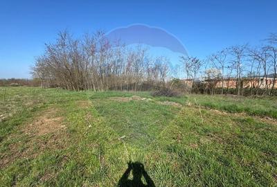 Teren Construcții intravilan de 1800 mp, în Merișor - 2