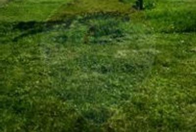 Teren intravilan in Pecica - 1