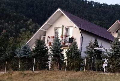 Vila P+M cu 10 ari teren - Valea Borcutului Baia Mare, Maramures