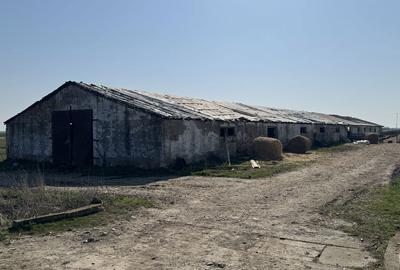 Spațiu comercial, în Central - 2