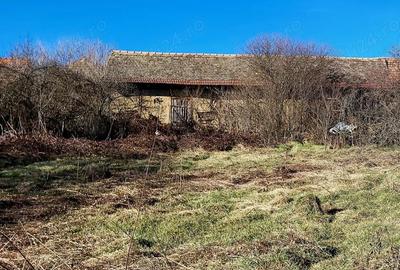 Casă cu 3 camere cu Teren 1384 Mp în Forotic - 1