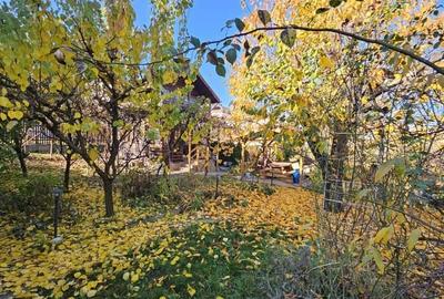 Teren cu Certificat de urbanism pentru construire - Andrei Muresanu - 8