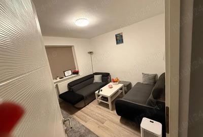Apartament cu 2 camere decomandat în Teliucu Inferior - 5