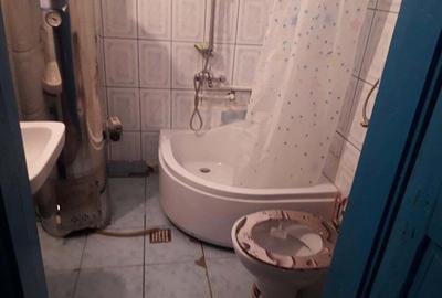 Casa de vanzare in comuna Dubova, Mehedin?i - 3