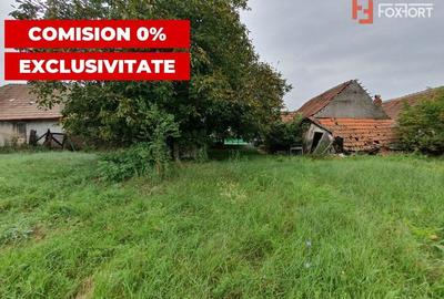 Teren Construcții intravilan de 2978 mp, în Sânmihaiu German - 15