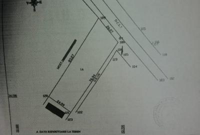 Vânzare teren intravilan deschidere 26 ml DN7- Crângurile, Bădulești
