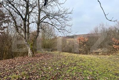 Teren extravilan, 4 hectare, langa livada de mere Ghinda - 2