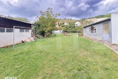 Casă cu 5 camere cu Teren 1399 Mp în Grigorescu - 2