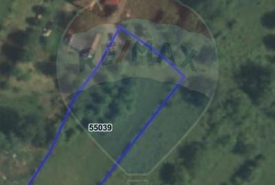 Teren Construcții intravilan de 1500 mp, în Damiș - 8