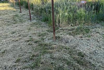 Casă cu 3 camere cu Teren 1400 Mp în Dorobanți - 3