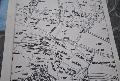 Teren de 2800 mp, în Târgușor - 5