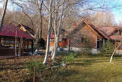 Casă cu 6 camere cu Teren 6500 Mp în Izvoarele - 3