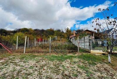 Teren de 1157 mp, în Oncea