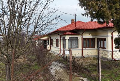 Casă individuală cu 7 camere cu Teren 4500 Mp în Hotarele - 13