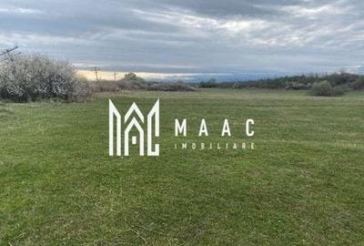 Teren extravilan | Cristian | 11.500 mp - 2