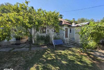 Casă cu 3 camere cu Teren 1820 Mp în Centură - 2