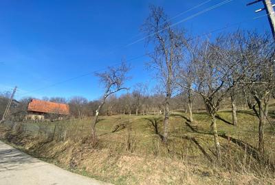 Teren de 3600 mp, în Exterior Vest