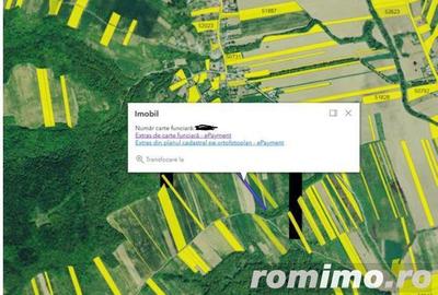 Teren Corbita, ID: R1984008 - 3