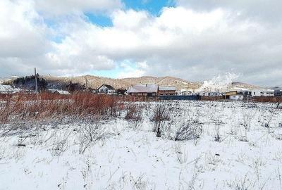 Teren de 2000 mp, în Zărnești