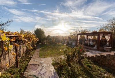 Casa cu priveliste - Stefanesti! - 8