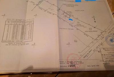 Casă cu 1 camere cu Teren 5000 Mp în Drajna - 1