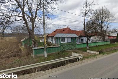 Casă cu 4 camere cu Teren 9000 Mp în Berești