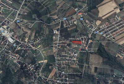 Spațiu comercial, în Paleu - 5