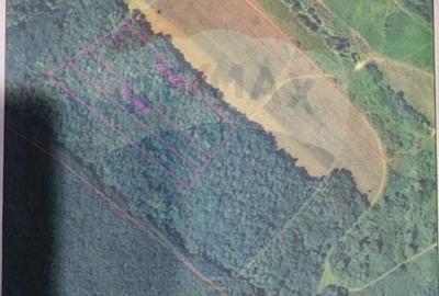 Teren agricol extravilan de 15618 mp, în Sântimreu - 2