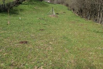 Spațiu comercial, în Valea Doftanei - 1